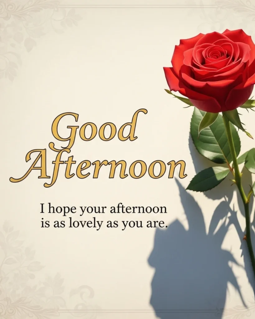 Good afternoon images with beautiful blessings to share on WhatsApp and social media