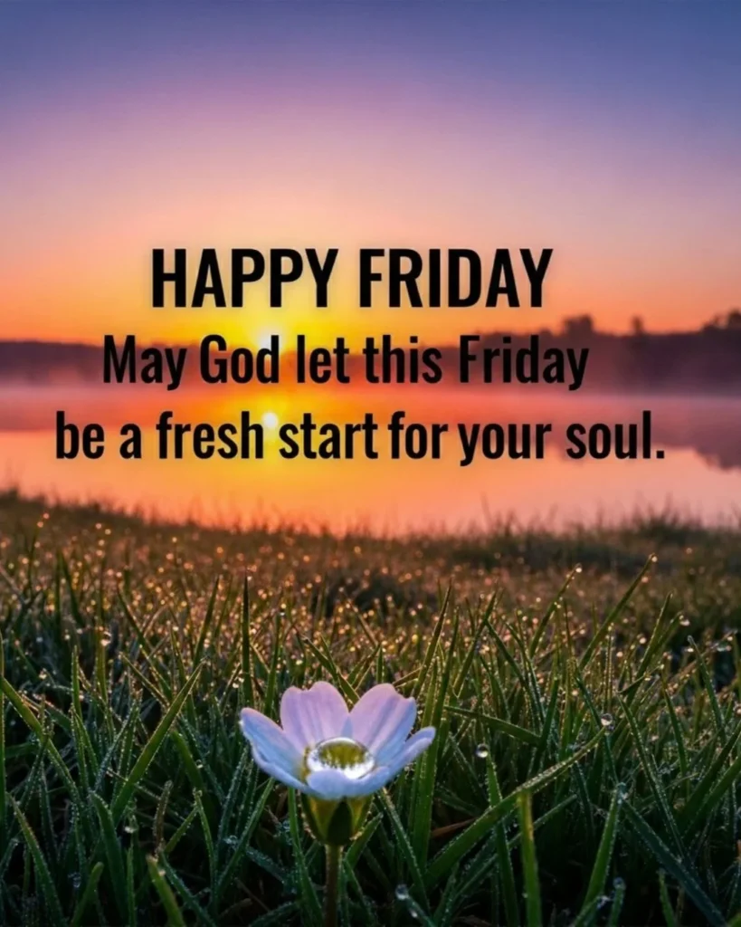 Dewy flower at sunrise with Friday prayer blessing for fresh soul start from God