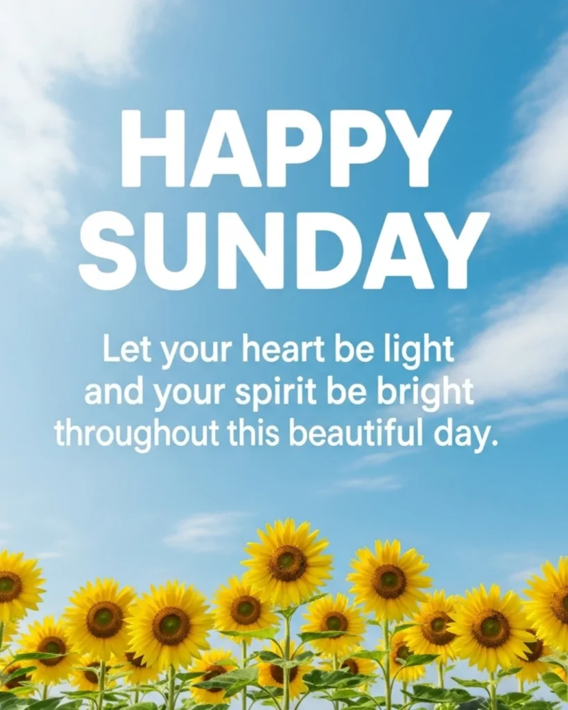 Happy Sunday blessings let your heart be light and spirit bright with sunflower field and blue sky