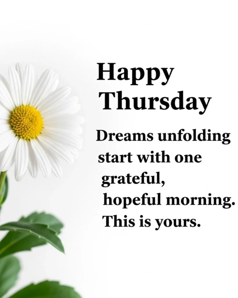 A minimalist white daisy against a green background with a short, bold Thursday quote about choosing peace.