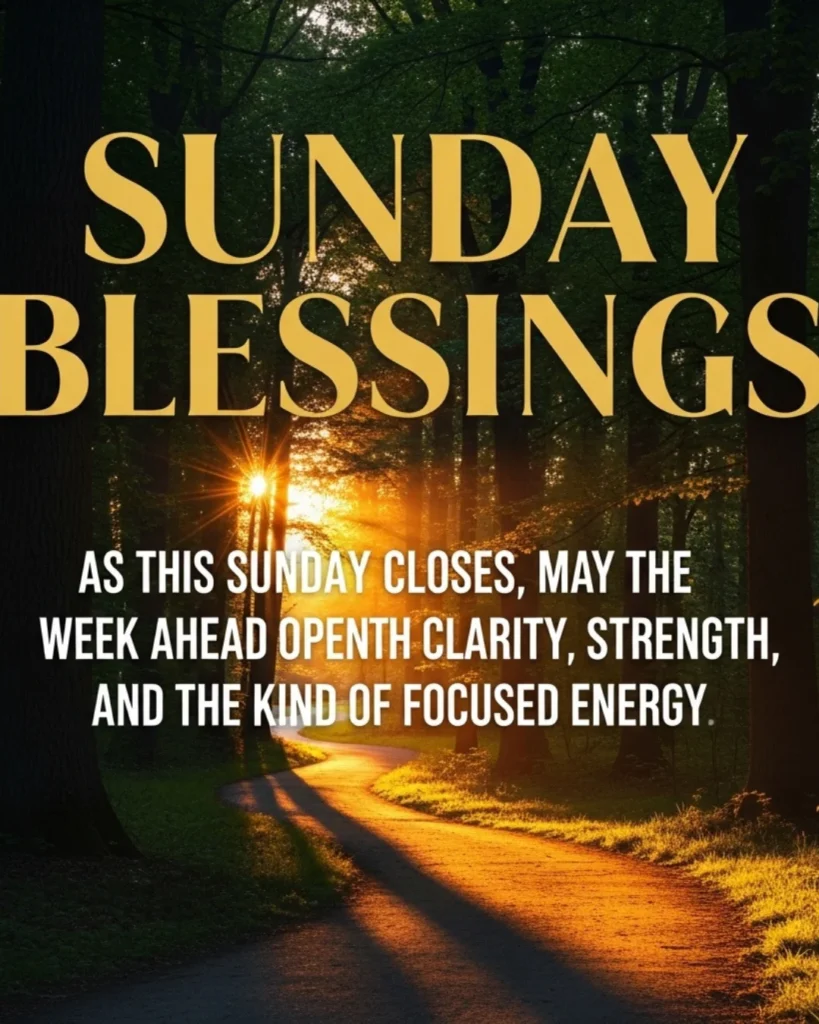 Sunday blessings for the week ahead with golden forest path and focused energy quote