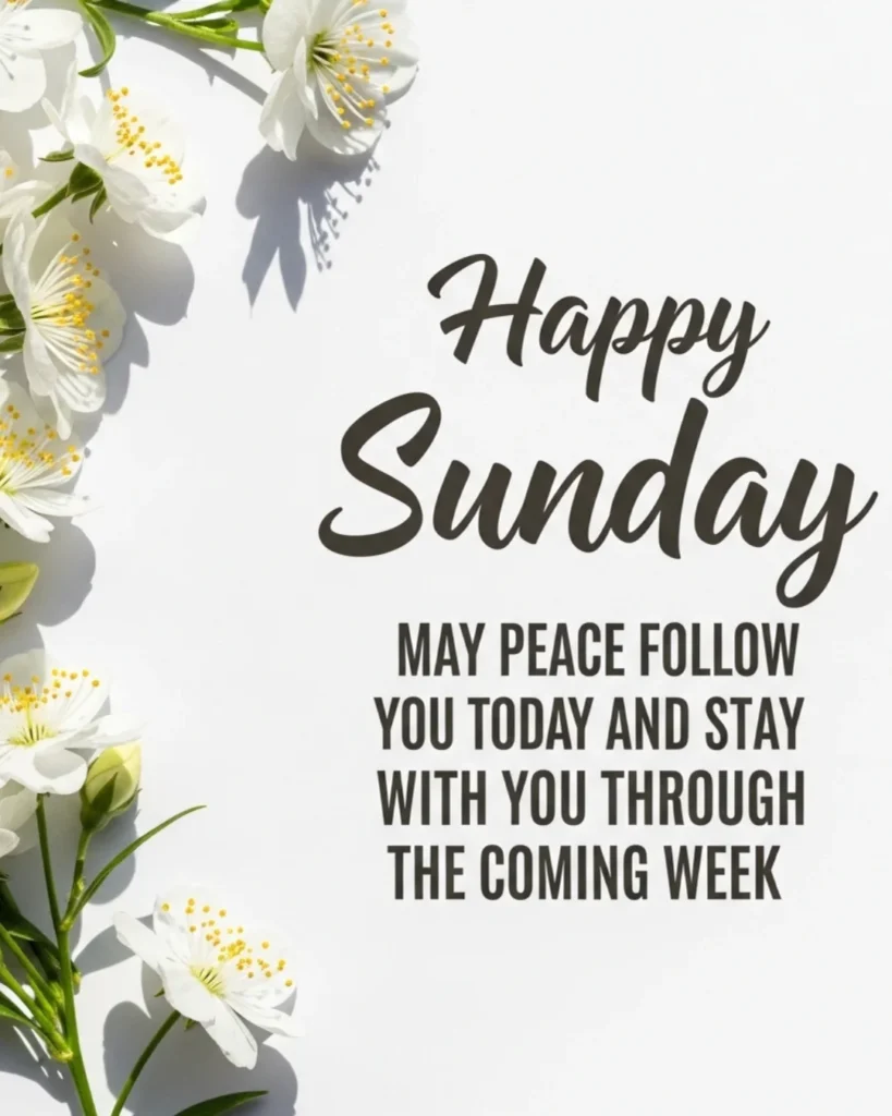 Happy Sunday blessing may peace follow you through the week with white flowers